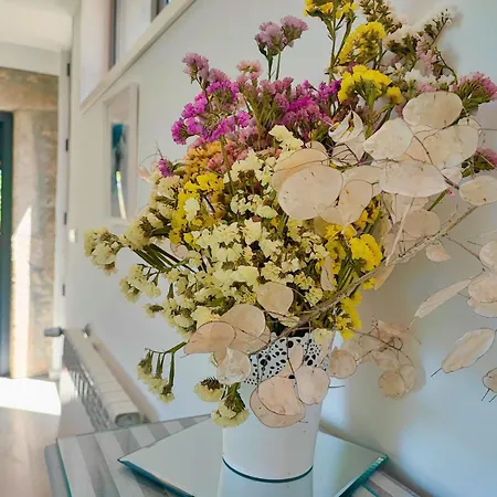 Casa Da Lapa * Paredes de Coura