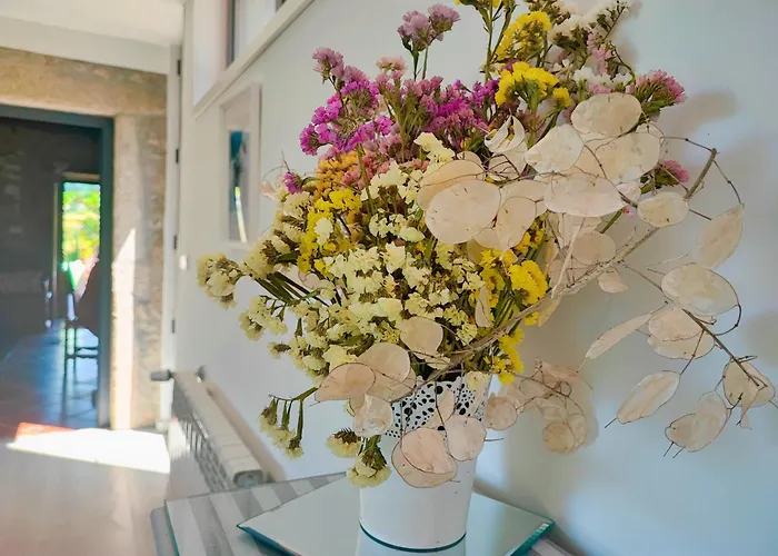 Casa Da Lapa * Paredes de Coura